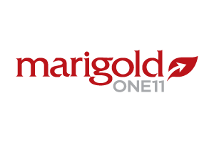 Marigold ONE11